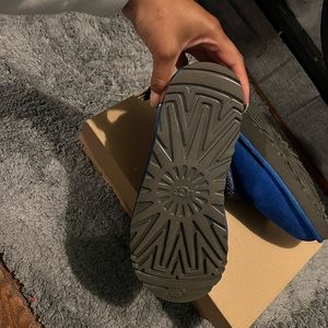 Tasman blue Uggs